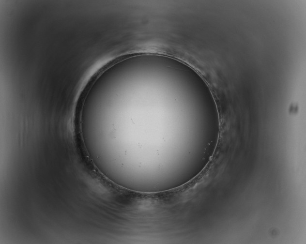 X0000103450200200809121436
