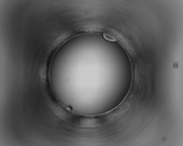 X0000103450202200809121436