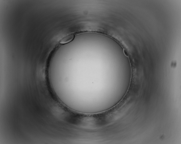 X0000103450203200809121436