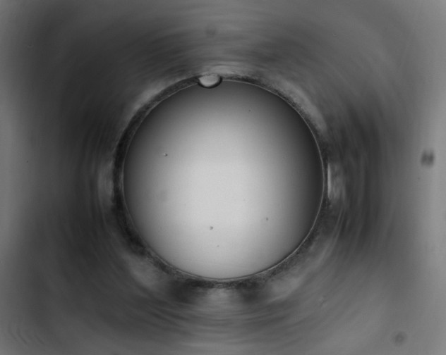 X0000103450204200809121436