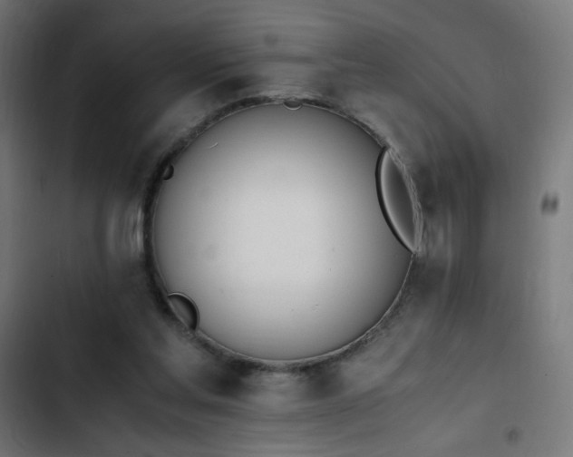 X0000103450205200809121436