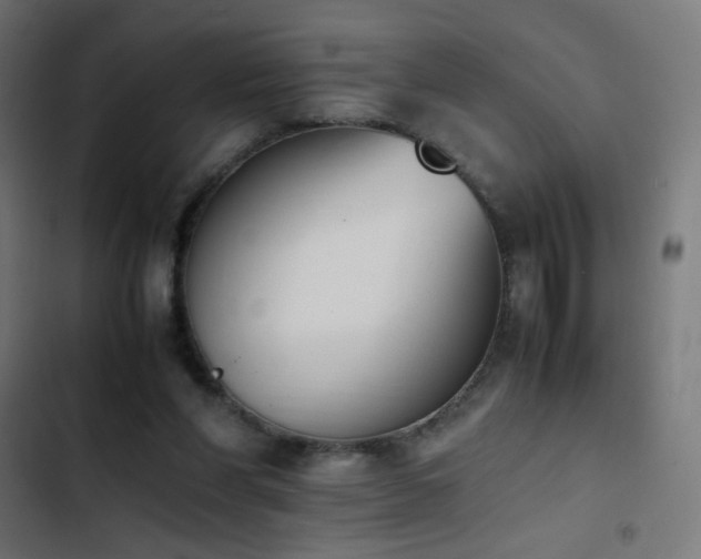 X0000103450206200809121436