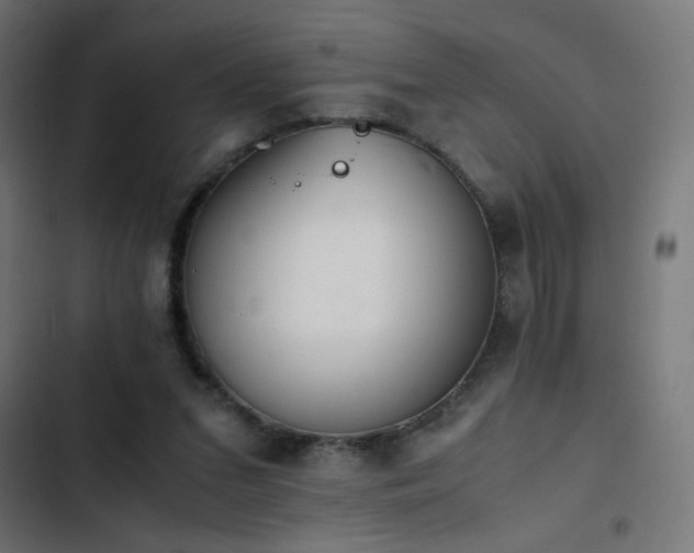 X0000103450207200809121435
