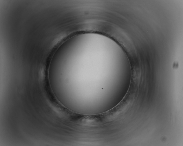 X0000103450208200809121435