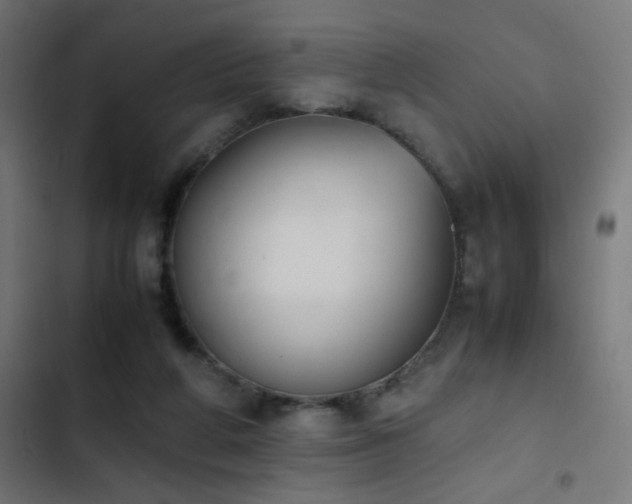 X0000103450210200809121435