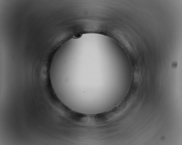 X0000103450211200809121435