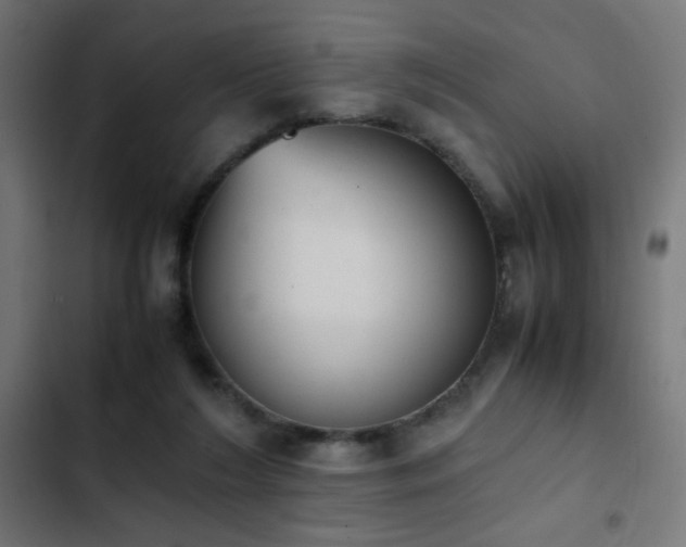 X0000103450212200809121435