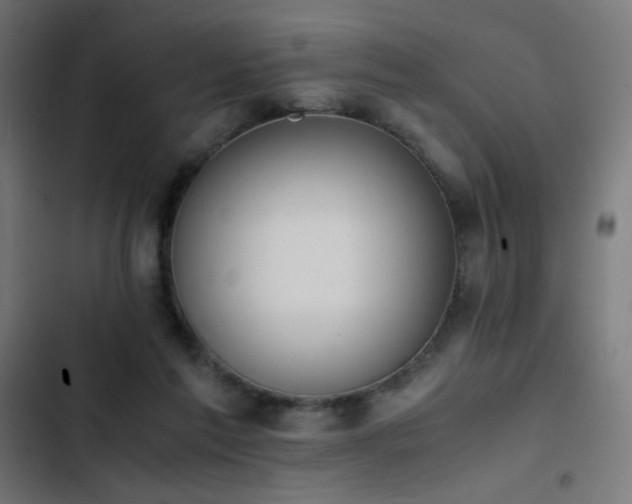 X0000103450213200809121435