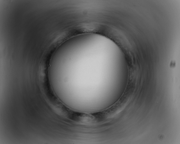 X0000103450215200809121435