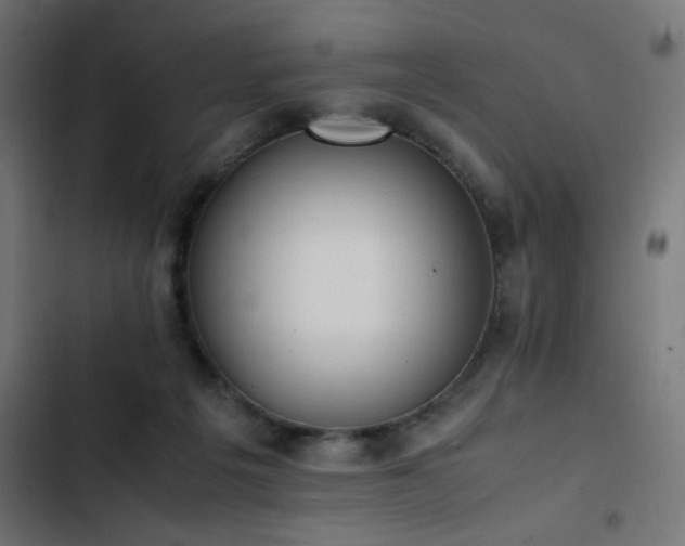 X0000103450217200809121435