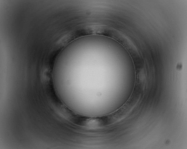 X0000103450218200809121435