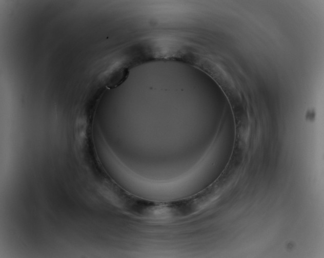 X0000103450219200809121435