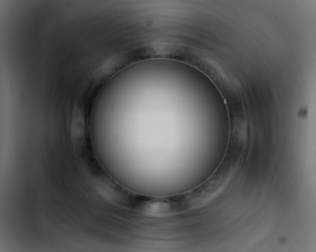X0000103450220200809121435