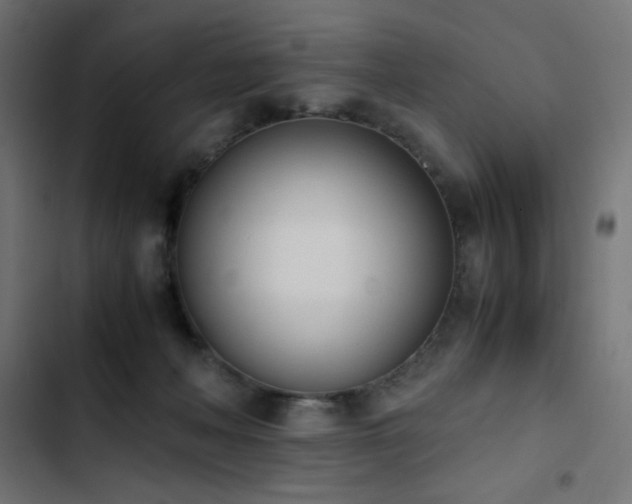 X0000103450222200809121435