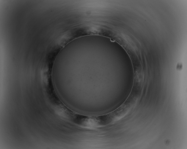 X0000103450223200809121435