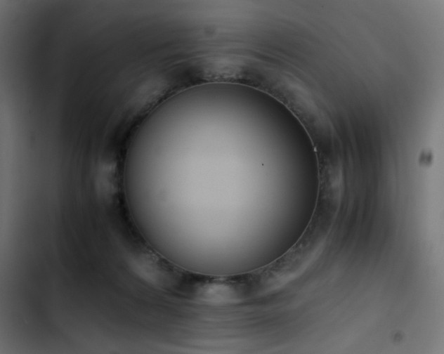 X0000103450224200809121435