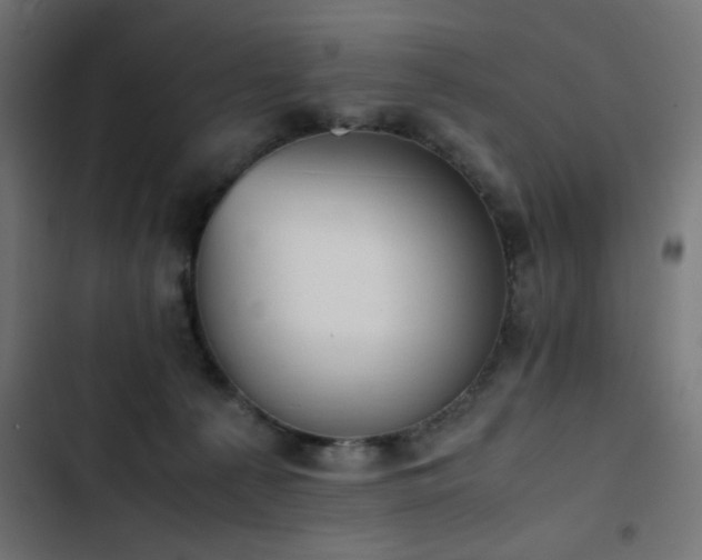 X0000103450225200809121435
