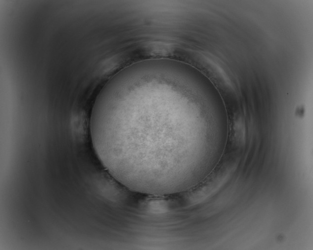 X0000103450228200809121435