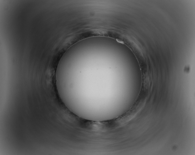 X0000103450229200809121435