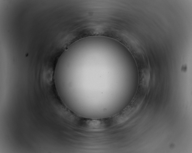X0000103450230200809121435