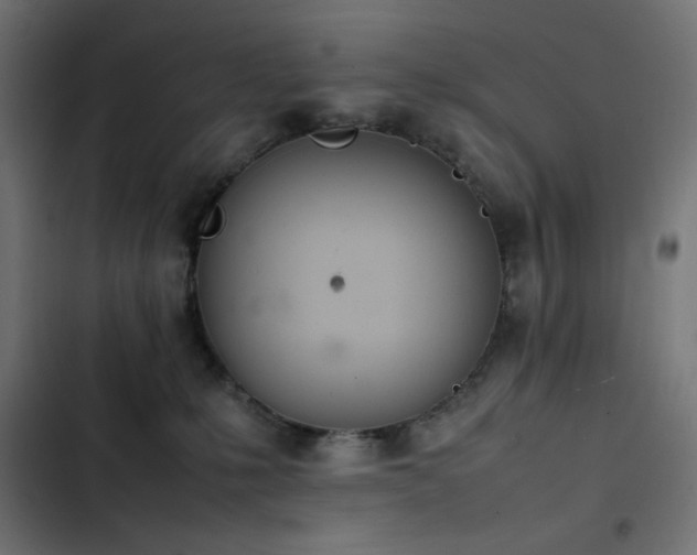X0000103450231200809121435
