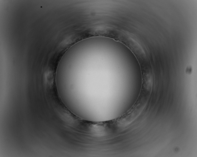 X0000103450232200809121435