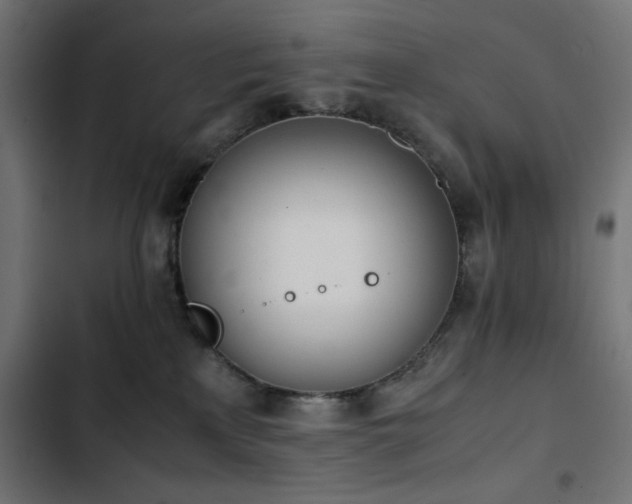 X0000103450233200809121435