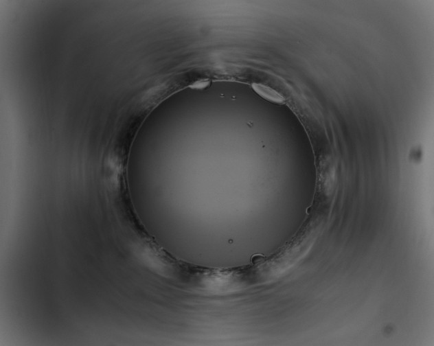X0000103450235200809121435