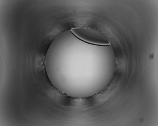 X0000103450237200809121435
