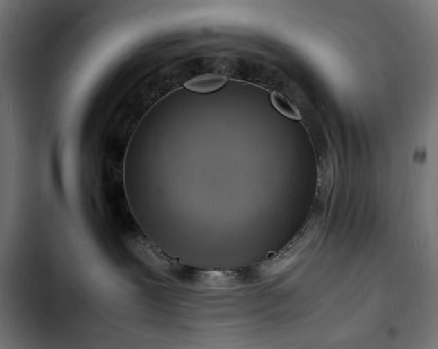 X0000103450239200809121435