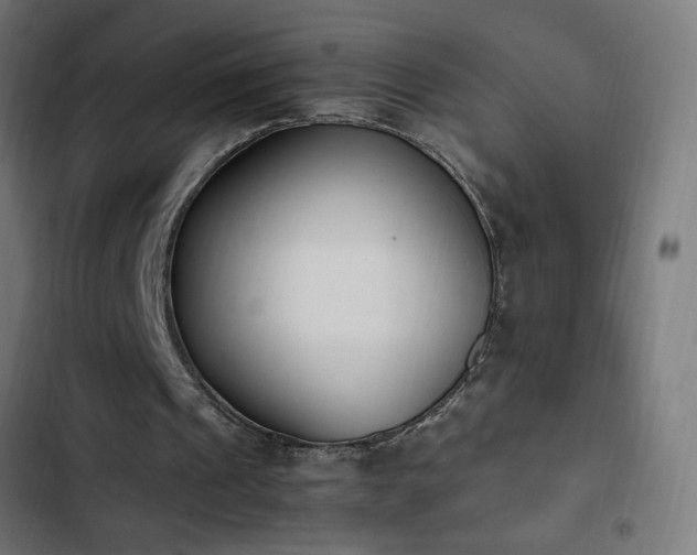 X0000103450241200809121434