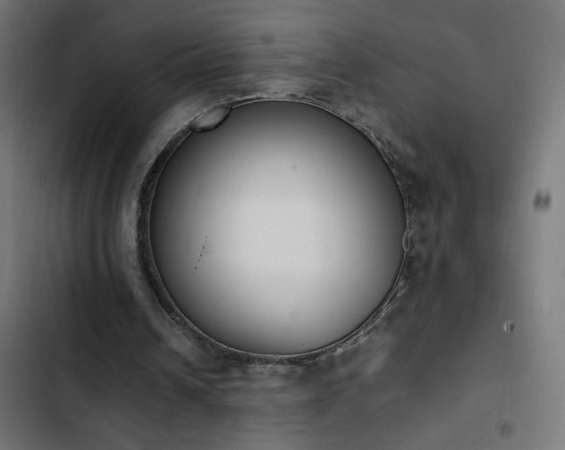 X0000103450242200809121434