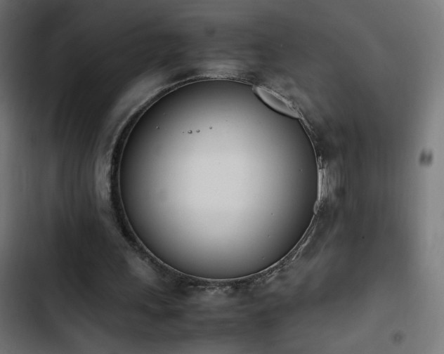 X0000103450243200809121434