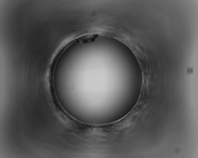 X0000103450244200809121434