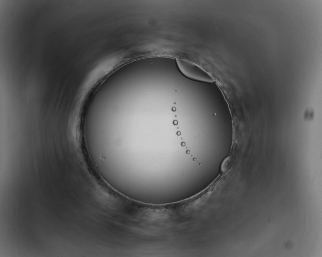 X0000103450245200809121434