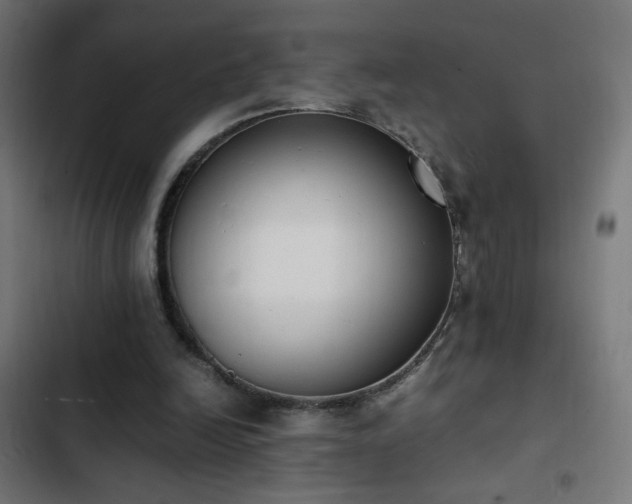 X0000103450246200809121434