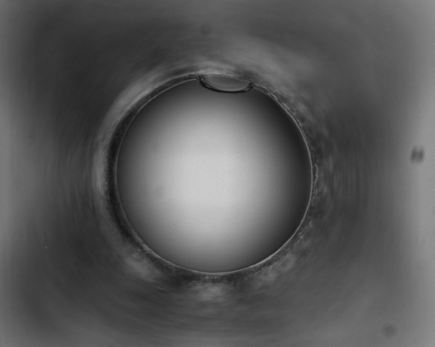 X0000103450247200809121434