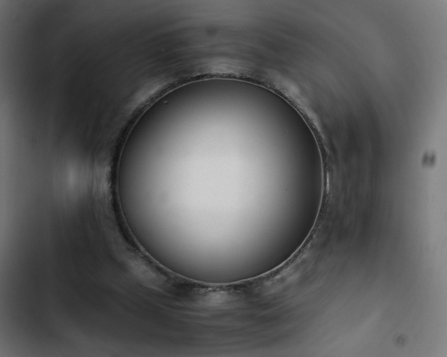 X0000103450249200809121434