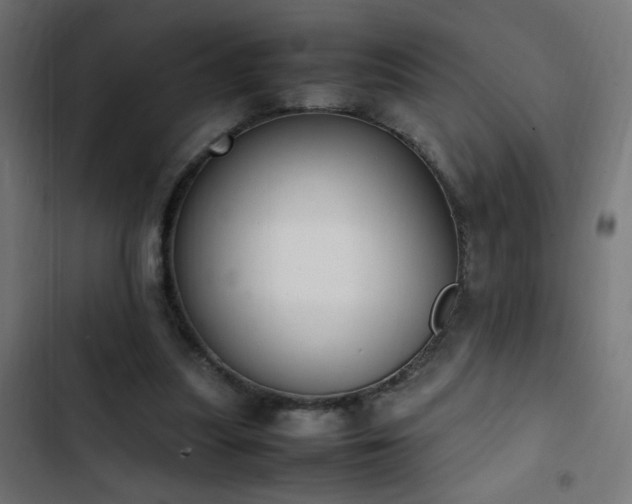 X0000103450251200809121435