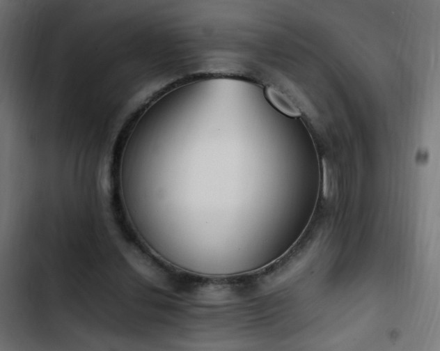 X0000103450252200809121435