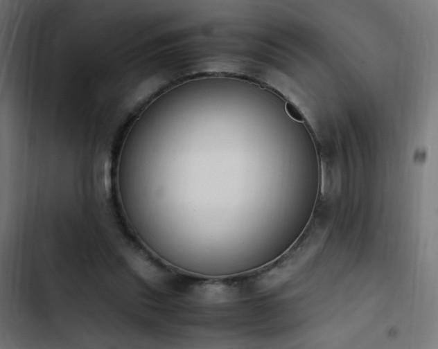 X0000103450253200809121435