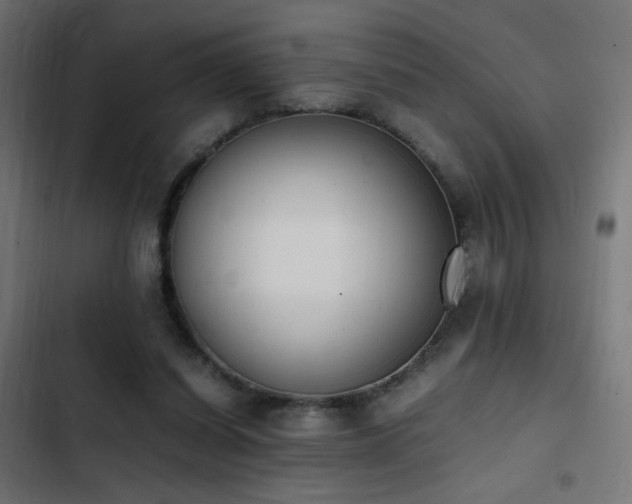 X0000103450254200809121435