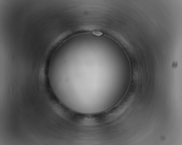 X0000103450256200809121435