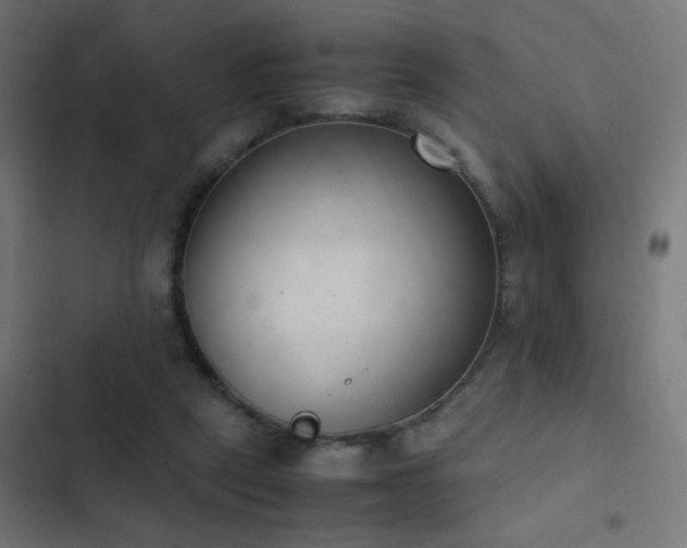 X0000103450257200809121435