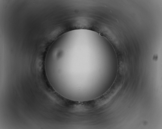 X0000103450259200809121435