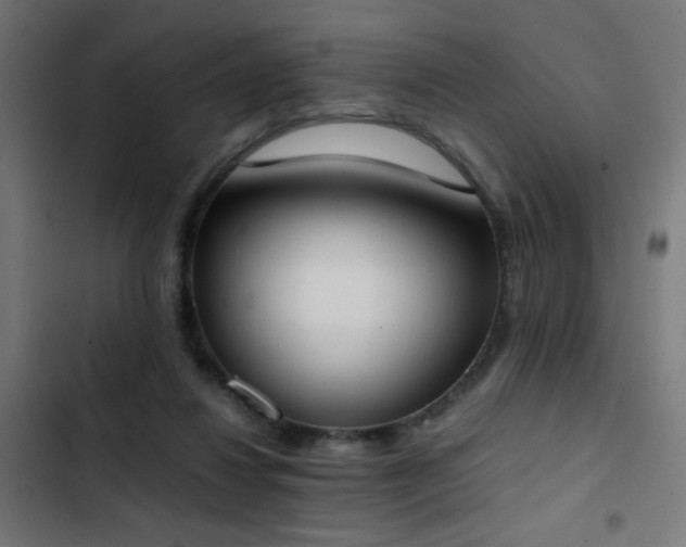 X0000103450260200809121435