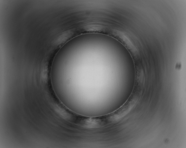 X0000103450261200809121435