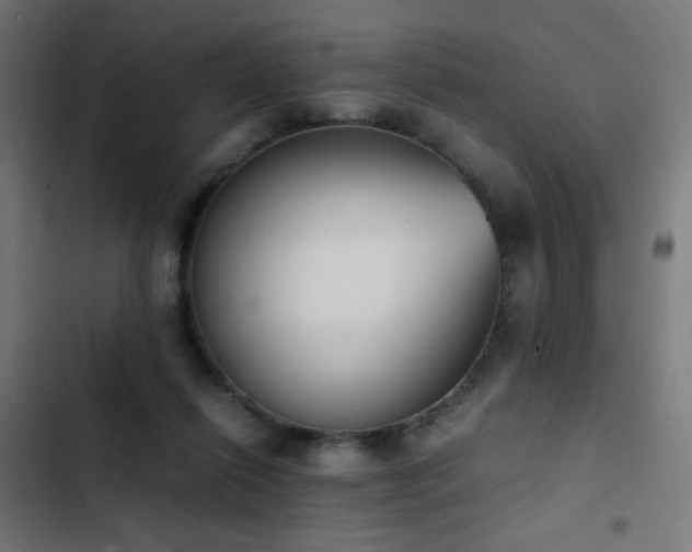 X0000103450262200809121435