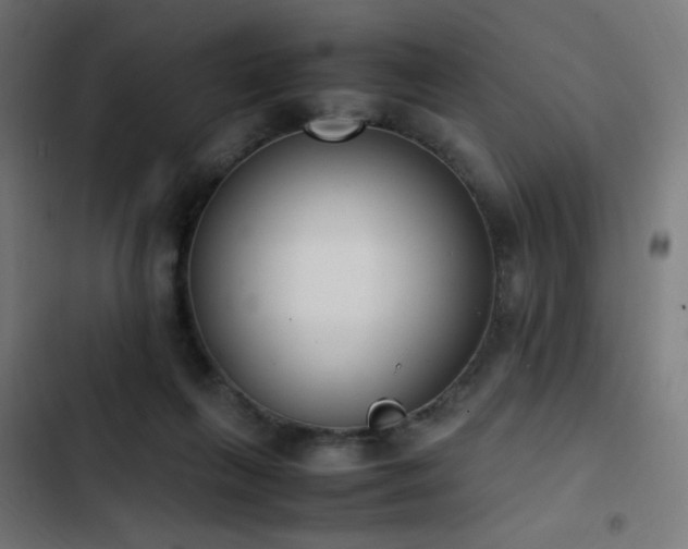 X0000103450263200809121435