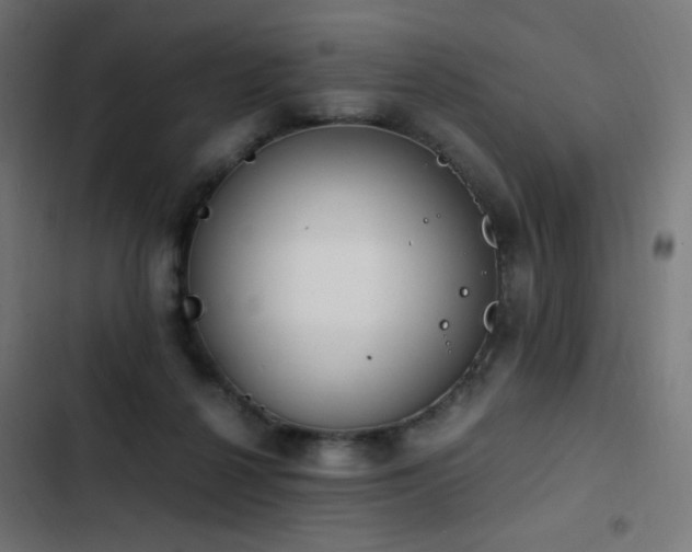 X0000103450264200809121435
